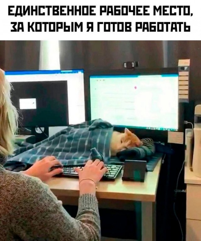Немного картинок для настроения - 112