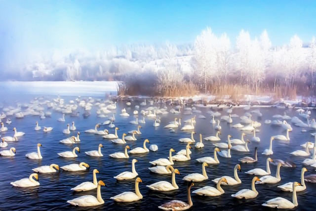 Самая красивая страна