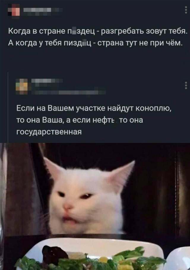 Немного мемчиков. Для взрослых. Часть 24