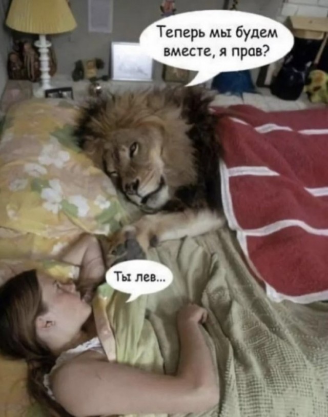 Тупняк на понедельник. 17 шт.