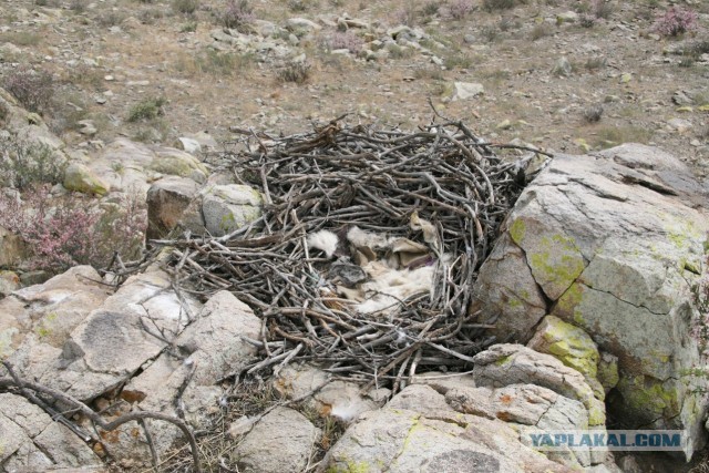 В Монголию на мотоциклах 2006