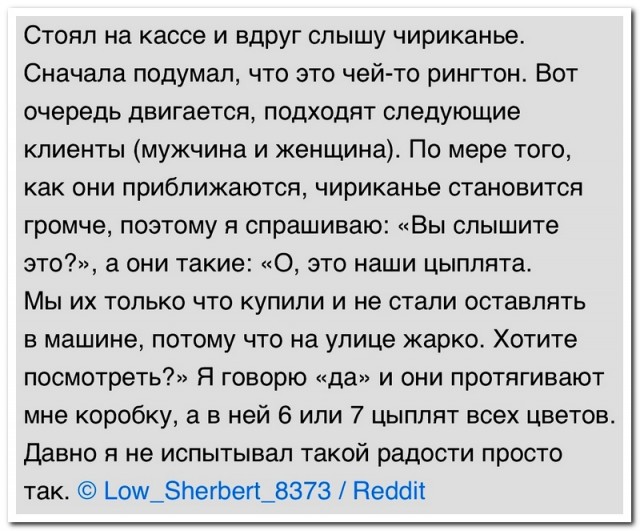 Забавные комментарии из социальных сетей (21.08.23)