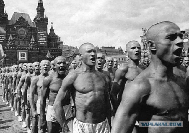 Украинский "Халк" - Денис Цыпленков
