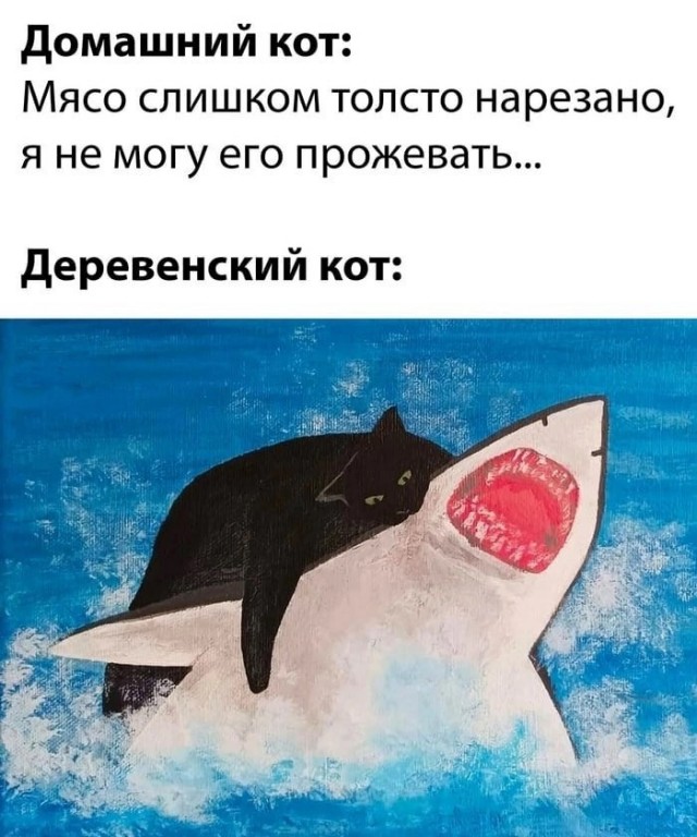 Так себе картинки 11.09.23
