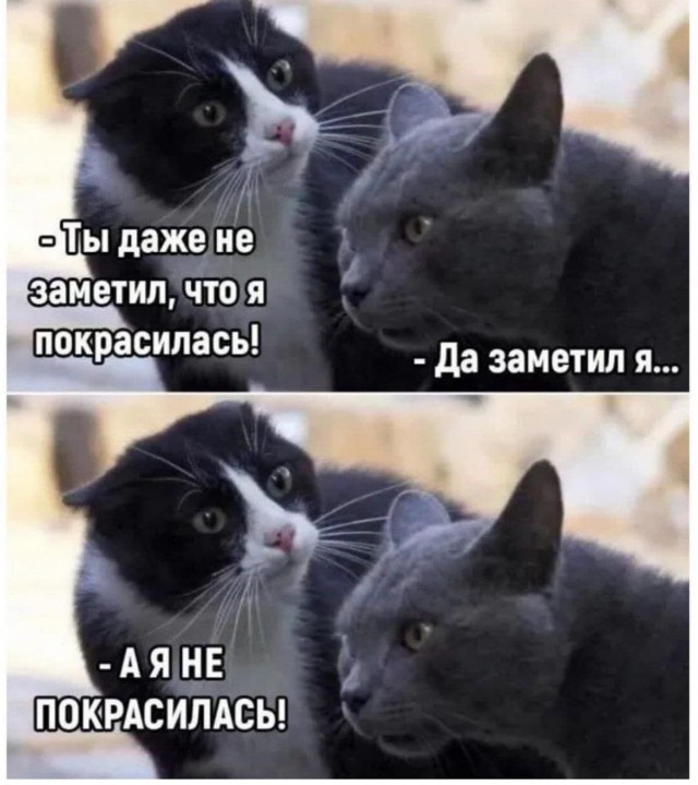 Бояны 10-ти летней выдержки