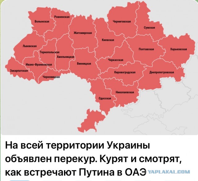 Так в ОАЭ встречают российскую делегацию