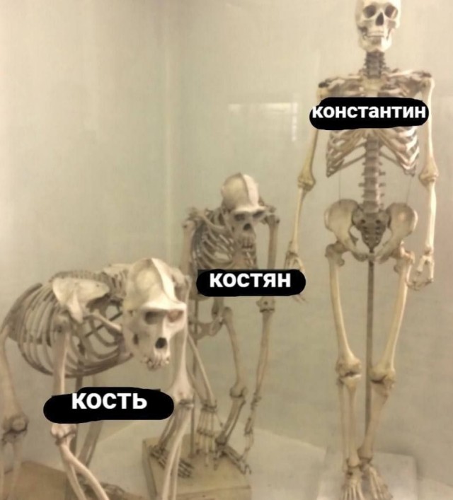 Завалялось тут случайно немного забавных картинок
