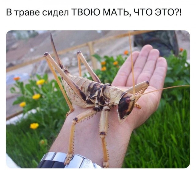 Всего понемногу. От 22.05.2024
