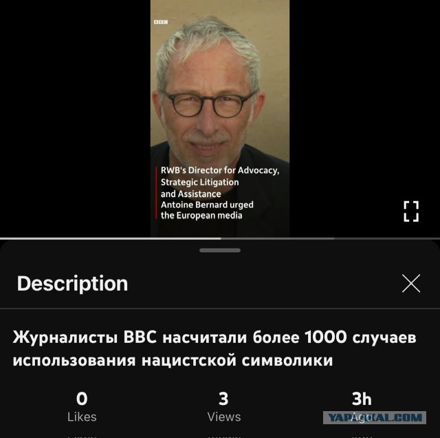Около 1000 случаев насчитали журналисты BBC