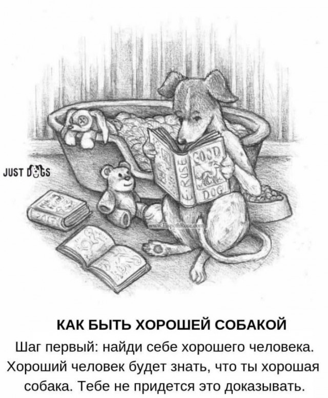 Так себе картинки 11.10.24