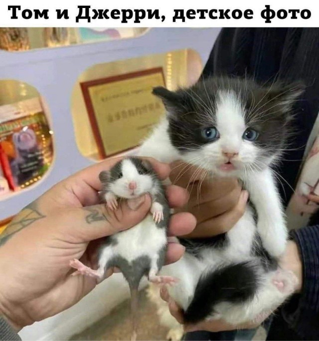 Сброс балласта. Картинки