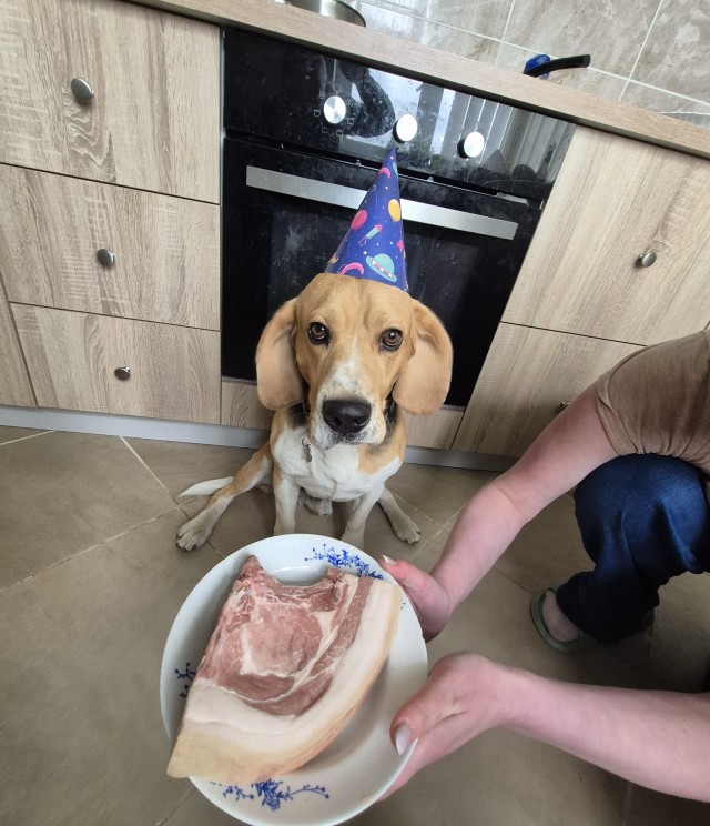 Дьяволу уже три года. С днюхой!