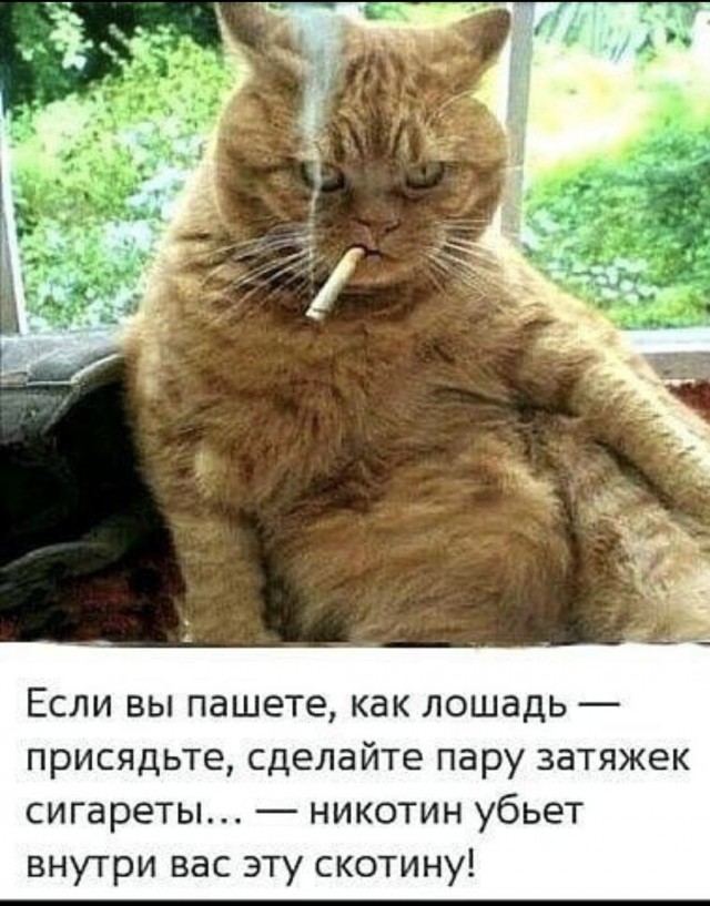 20058676.jpg