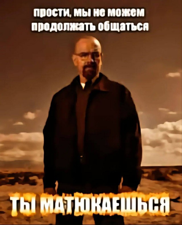 Шнуров нашёл способ законно материться на концертах