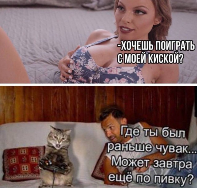 Так себе картинки 13.08.25