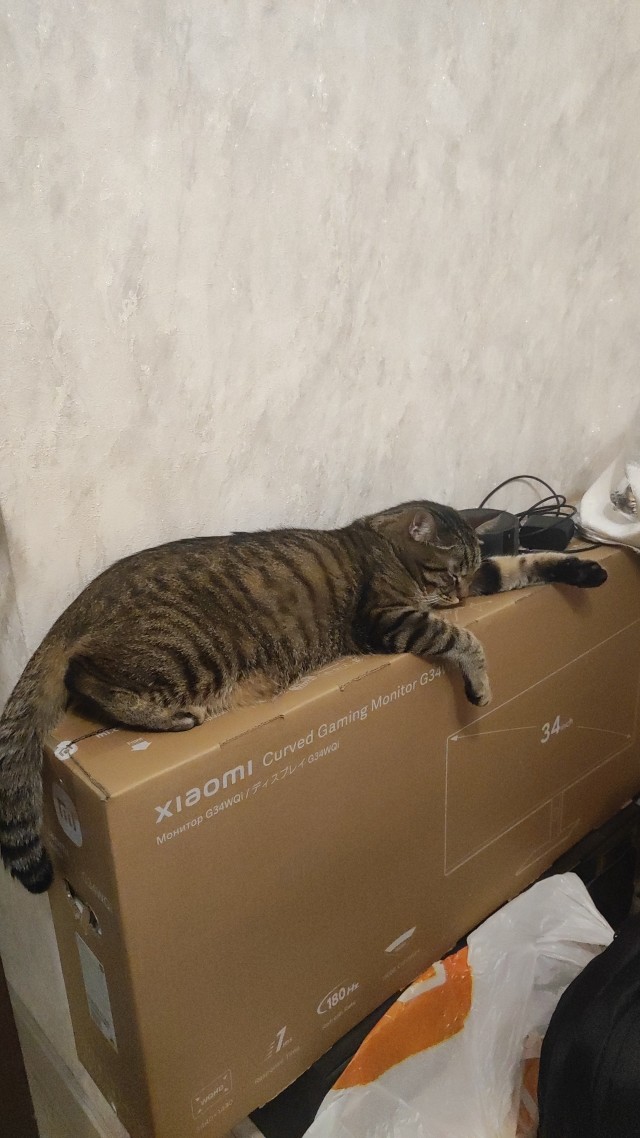 Бааарсик)
