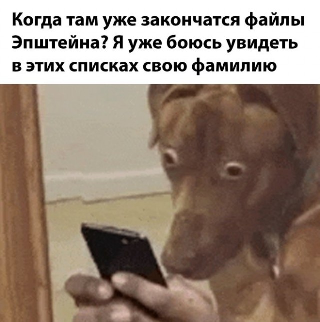 Картиночки, баянчики 04 февраля