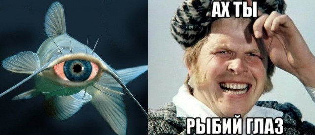 Картиночки, баянчики 07 февраля