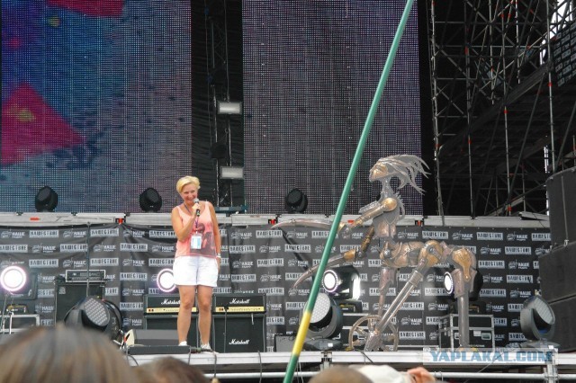 Я пережил Нашествие-2013!