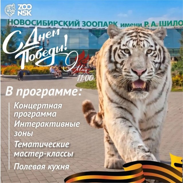 Жителей Новосибирска бомбануло из-за плаката местного зоопарка ко Дню Победы