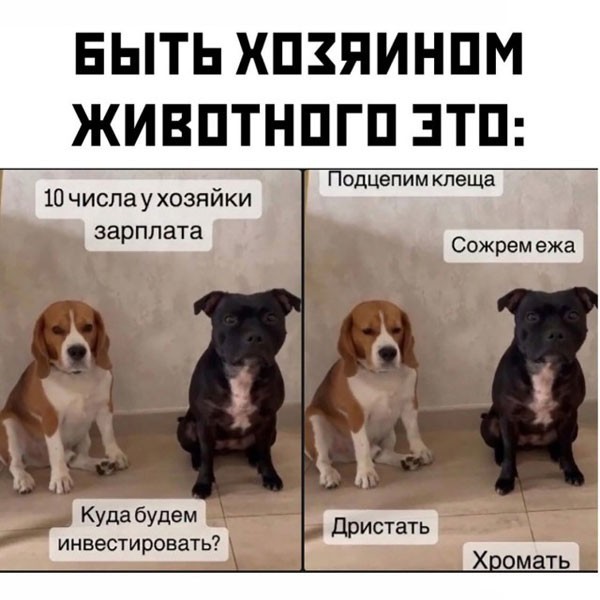 Среда - это же почти пятница, да?