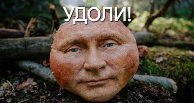Двести тысяч сеансов «Колобка» готовы, миллион ещё на подходе