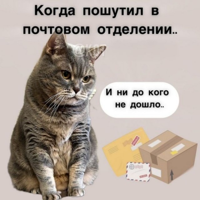 Веселые картинки в пятницу (04.09)
