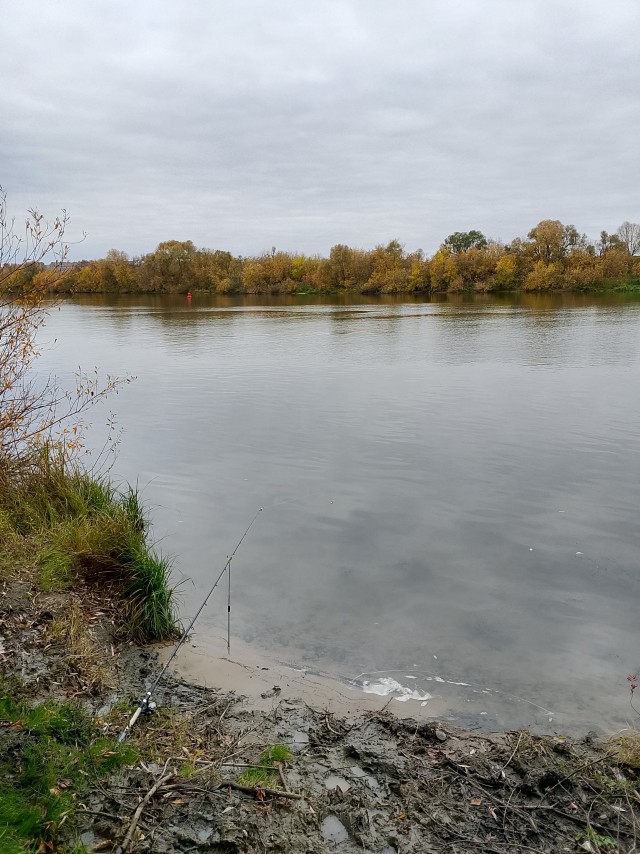 Рыбалка грустное