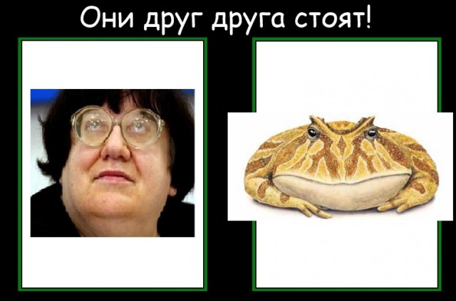 Они друг друга стоят!