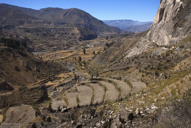 Перу: путешествие в ущелье Colca