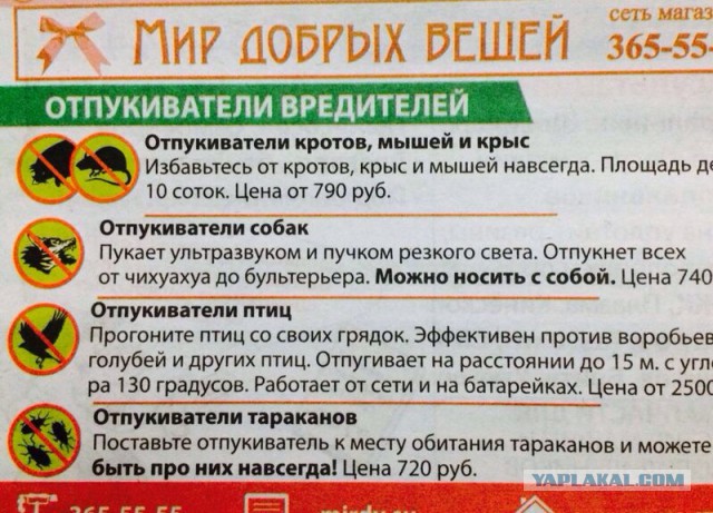 Немного позитива на пятницу