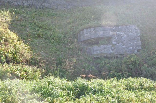 Поисковая экспедиция на Шумшу