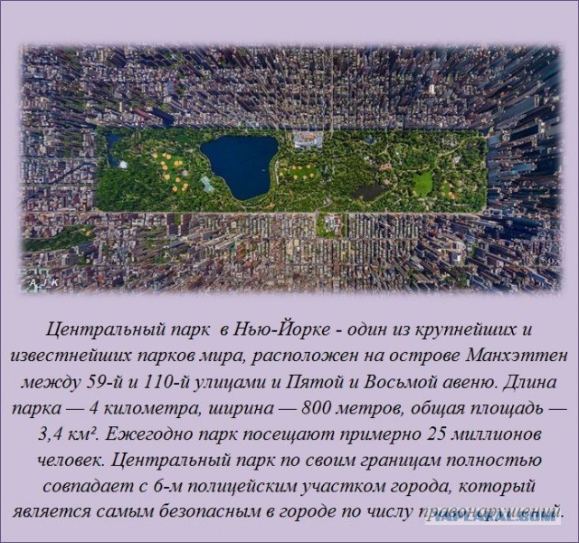 20 фактов обо всем