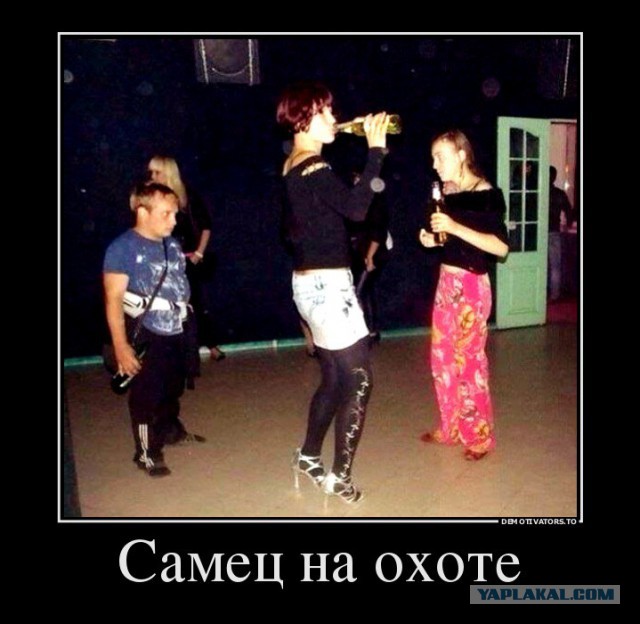 Демотиваторы