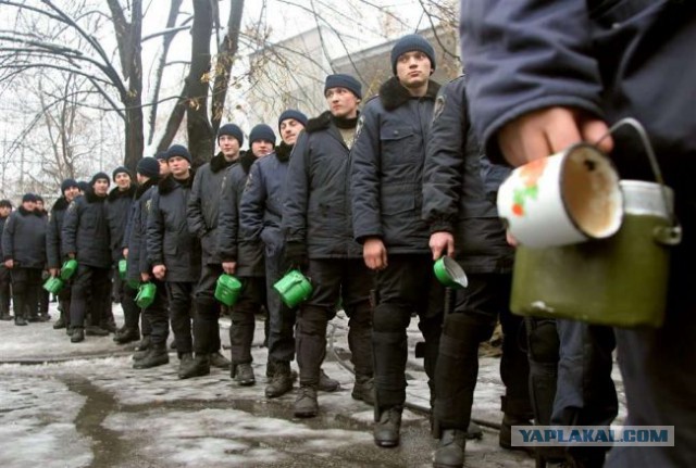 Во Львовской области взбунтовались мобилизованные