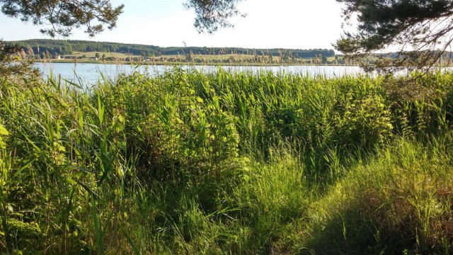 Красоты Беларуси