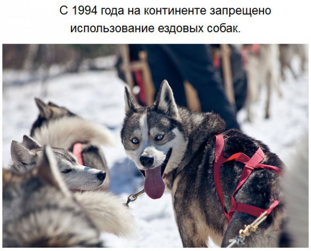 Чего мы не знали об Антарктиде