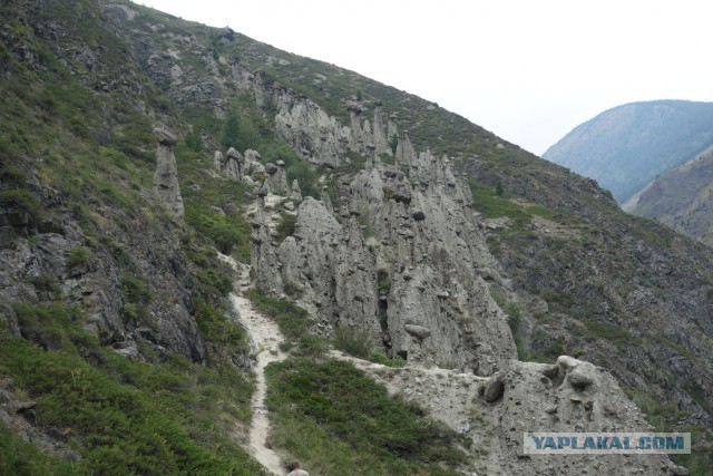 Алтай