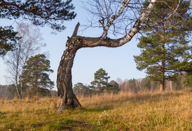 Деревенская Америка