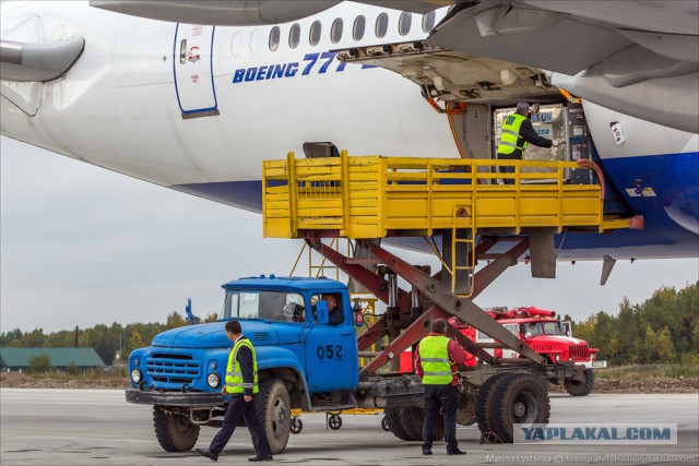 В Египте разбился российский пассажирский самолет, Airbus-321 "Когалымавиа"