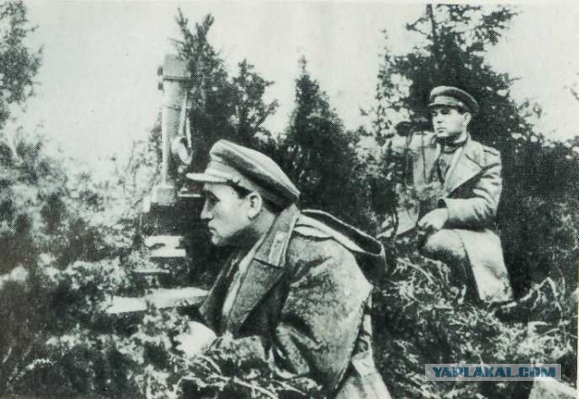 Леонид Ильич Брежнев в зарубежных поездках