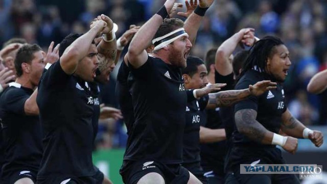 Скоро весна. В тренажерных залах буйно цветут подснежники