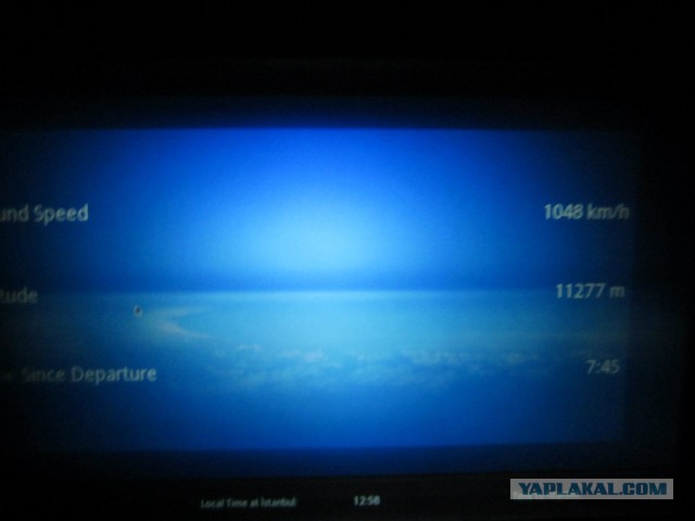 Спорил с женой до хрипоты