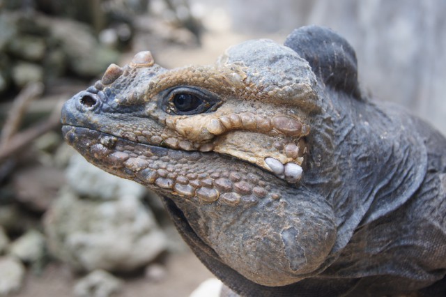 Подборка интересных и веселых картинок