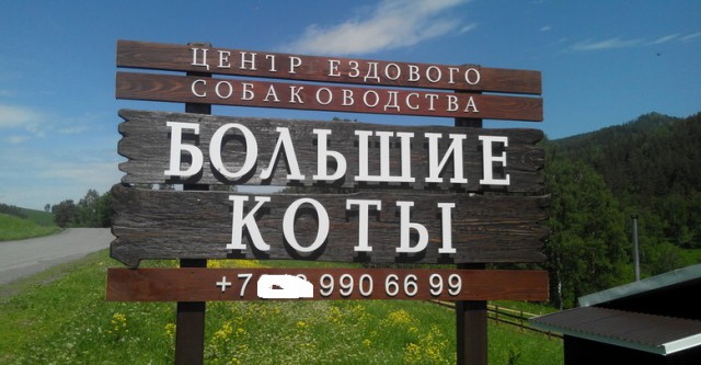 Для Поднятия Настроения -  12