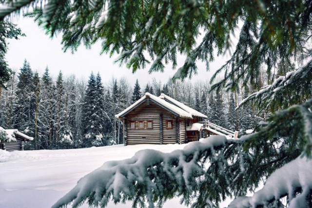 Моменты, запечатлённые на фото и просто позитив 5