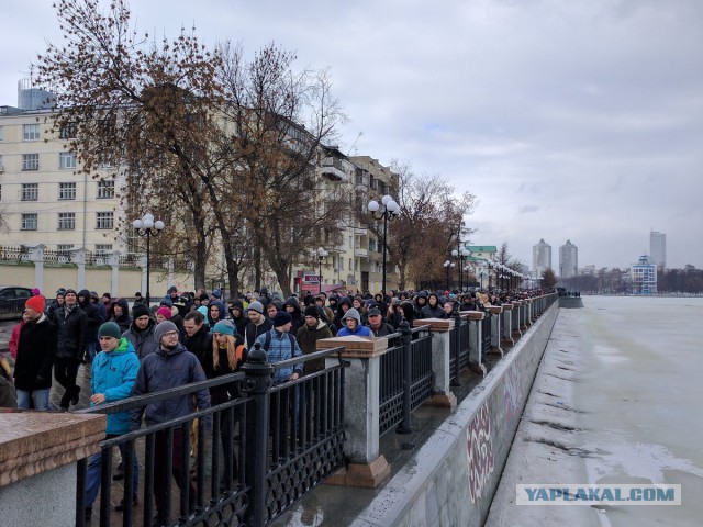 Задержания происходят на антикоррупционных акциях «Он нам не Димон»