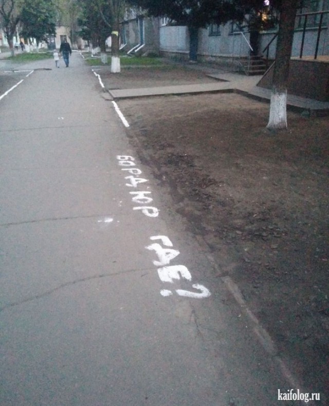 Подборка интересных и веселых картинок