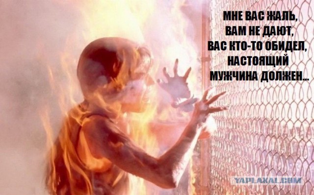 Звери в юбках или откуда взялся миф о женской доброте