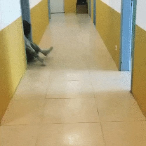 Срань господня или годный косплей